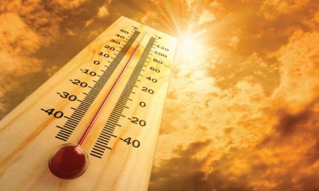 Calor intenso en la zona de La Sagra. Consejos y recomendaciones