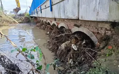 El Ayuntamiento de Numancia limpiará sus arroyos por la dejadez de la CHT