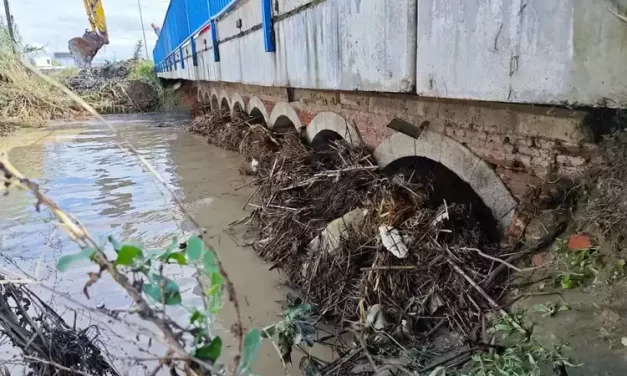 El Ayuntamiento de Numancia limpiará sus arroyos por la dejadez de la CHT