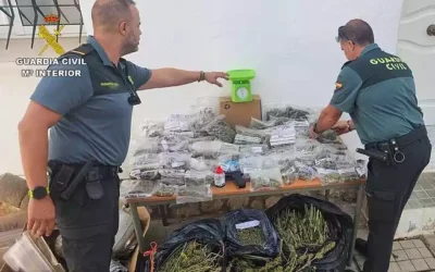 Un detenido al hallar en su domicilio de Sacedón, una pistola simulada y 60 bolsas de cogollos de marihuana