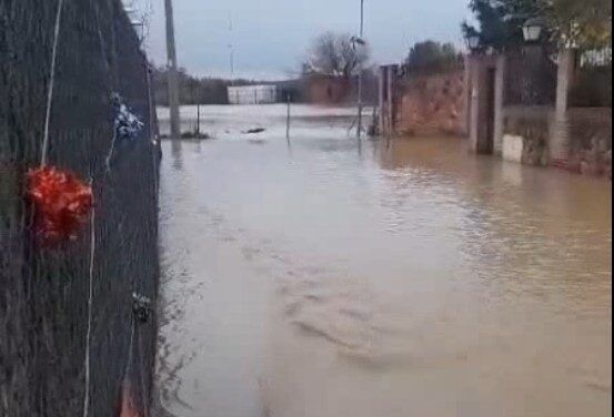 Dehesa de Moratalaz. Arroyos sin limpiar. Calles y casas se inundan. Eterno olvido (videos)