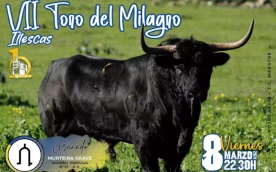 VII Toro del Milagro 2024 en Illescas. Entradas a la venta