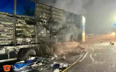 Se incendia un camión lleno de gallinas en la A-4 a su paso por Seseña