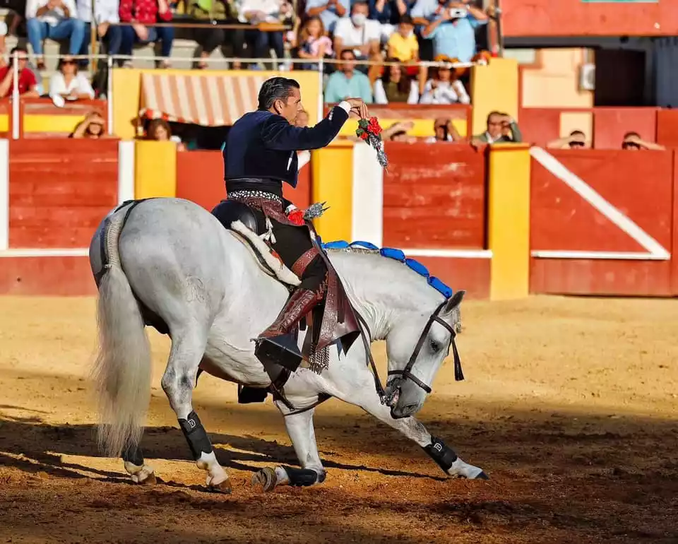 El rejoneador Diego Ventura acercará el toreo caballo a niños y jóvenes en un acto en Illescas