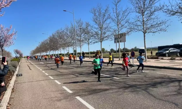 Se está celebrando en estos momentos el Cross Escolar de Illescas (álbum de fotos)