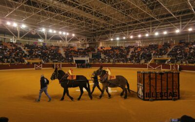 Toro del Milagro Illescas 2024. Álbum de fotos