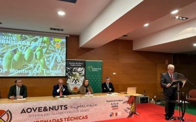 La Diputación de Toledo entrega los Premios Cornicabra 2024