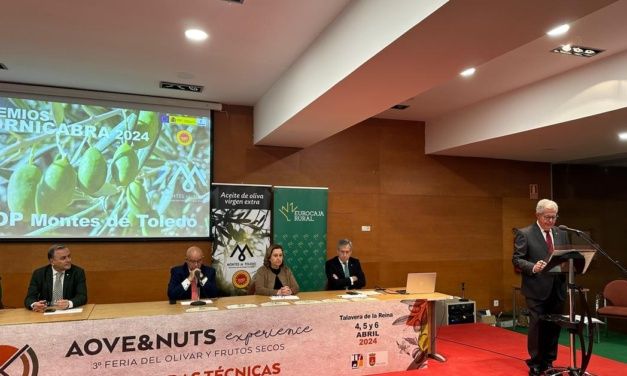 La Diputación de Toledo entrega los Premios Cornicabra 2024