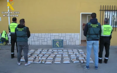 Catorce detenidos y 400 kgs. de droga incautada a una banda que actuaba en Madrid y Toledo