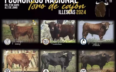 I Congreso Nacional de Toro de Cajón 2024 en Illescas