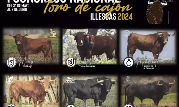 I Congreso Nacional de Toro de Cajón 2024 en Illescas