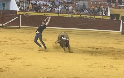 Primer toro en el I Congreso Nacional de Toro de Cajón 2024 (fotos y video)