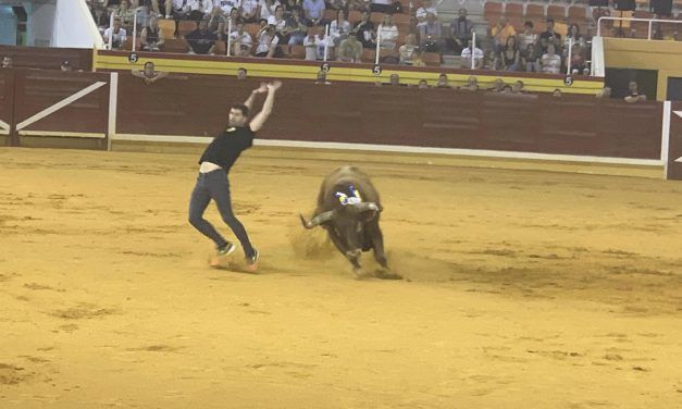 Primer toro en el I Congreso Nacional de Toro de Cajón 2024 (fotos y video)