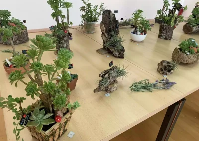 Exposición Mini jardines sostenibles Illescas