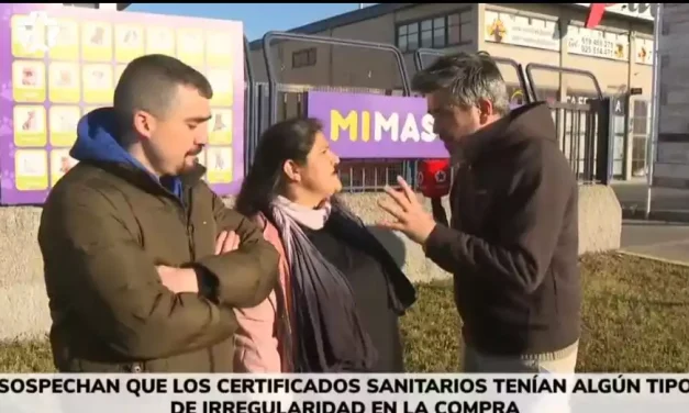 Denuncian en Illescas a un presunto vendedor de perros enfermos. (Video)