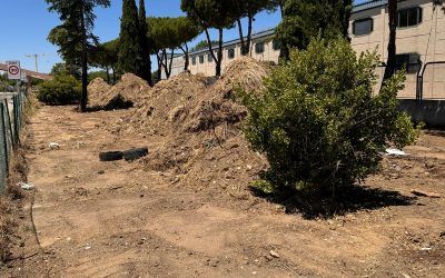 La entrada a la Urbanización el Señorío de Illescas. Poca atención y mucho abandono en la zona.