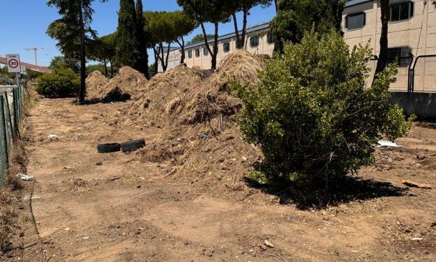 La entrada a la Urbanización el Señorío de Illescas. Poca atención y mucho abandono en la zona.