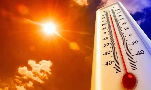 En Agosto las altas temperaturas causaron 126 fallecimientos en CLM