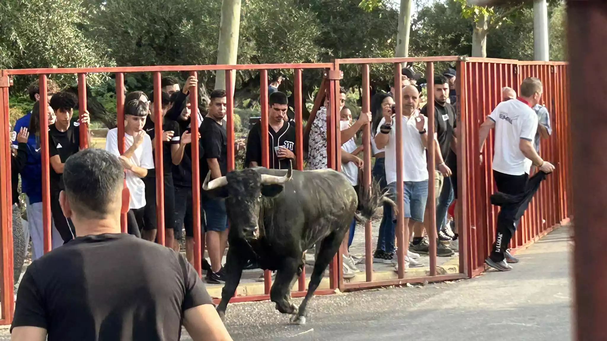 Encierro. Fiestas Illescas 2024