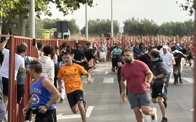 Esta mañana el Encierro. Fiestas Illescas 2024 (Álbum de fotos)