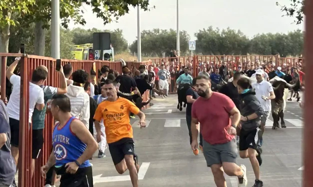 Esta mañana el Encierro. Fiestas Illescas 2024 (Álbum de fotos)