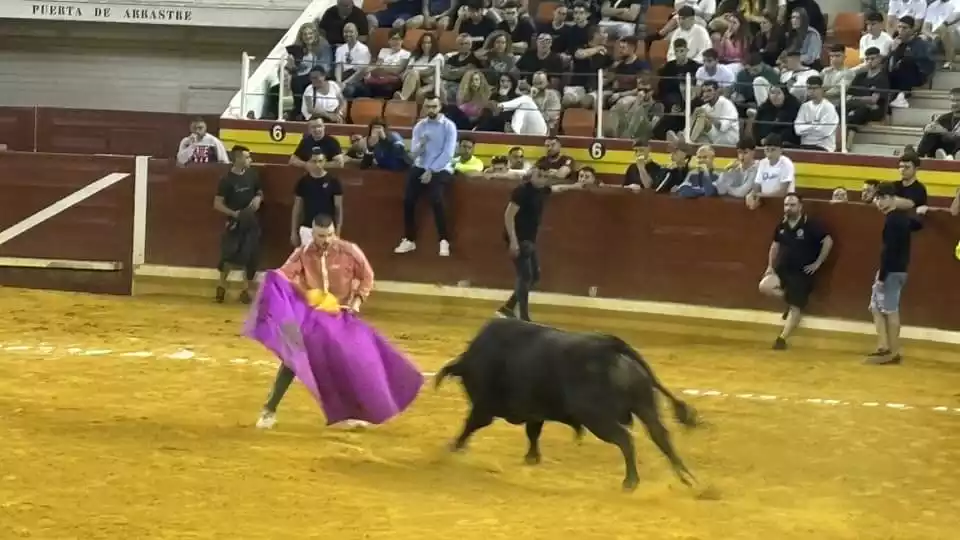 Toro del Aguardiente Illescas Fiestas 2024