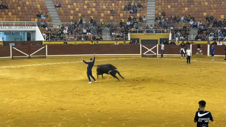 Toro del Aguardiente Illescas Fiestas 2024