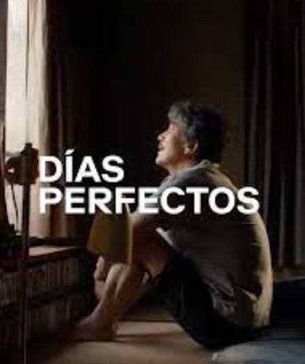 Días Perfectos