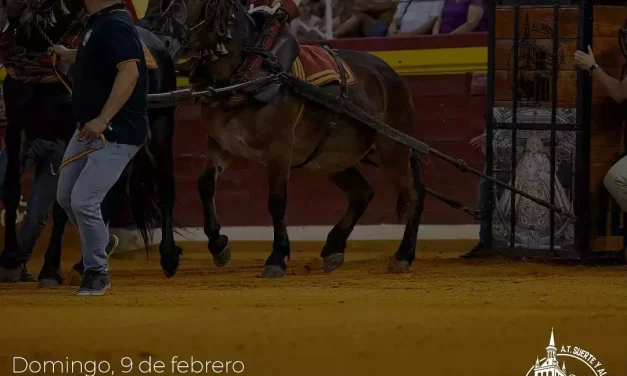 La asociación «Suerte y al Toro» de Illescas presenta el VIII Toro del Milagro