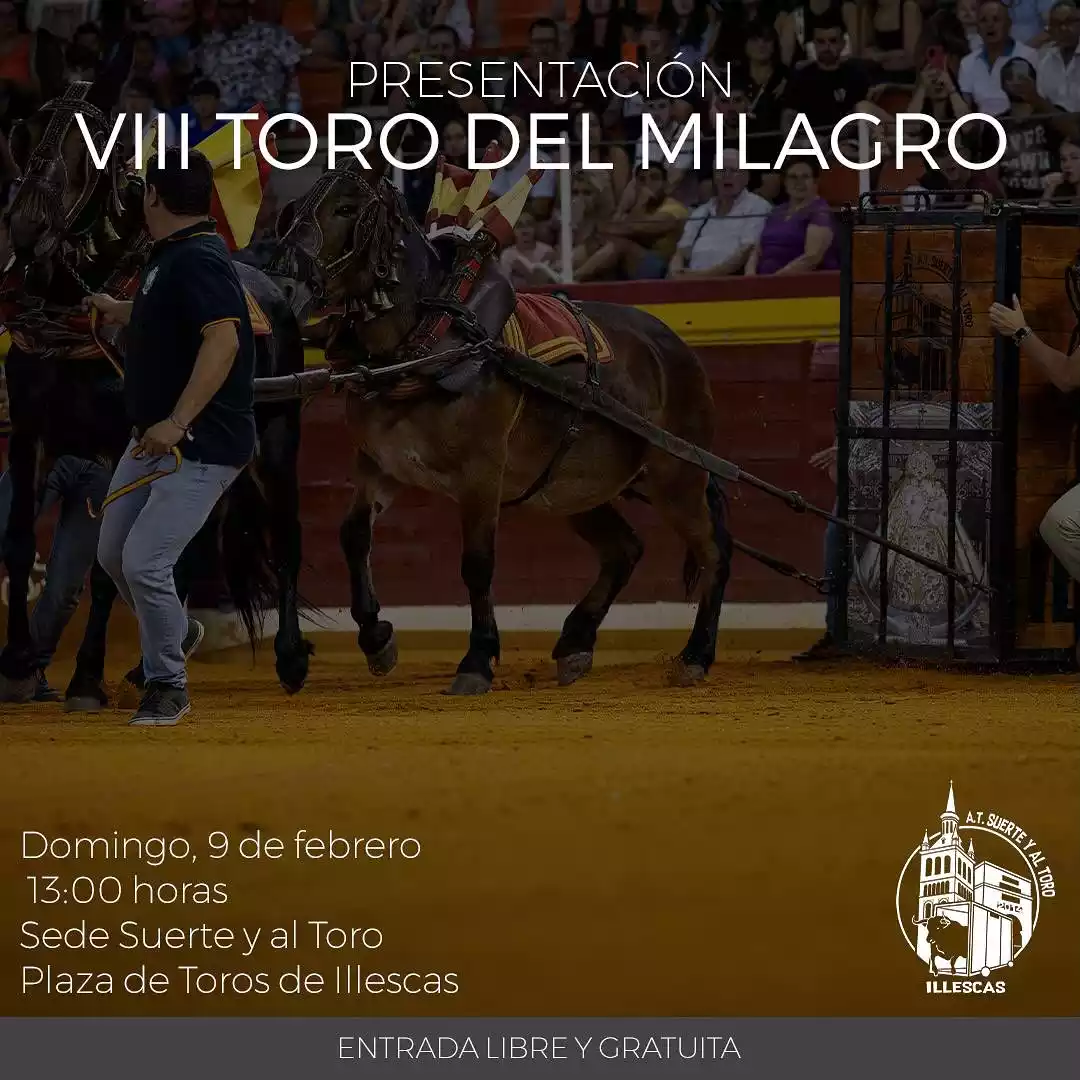 Asociación Suerte y al toro. Illescas. Toto del Milagro