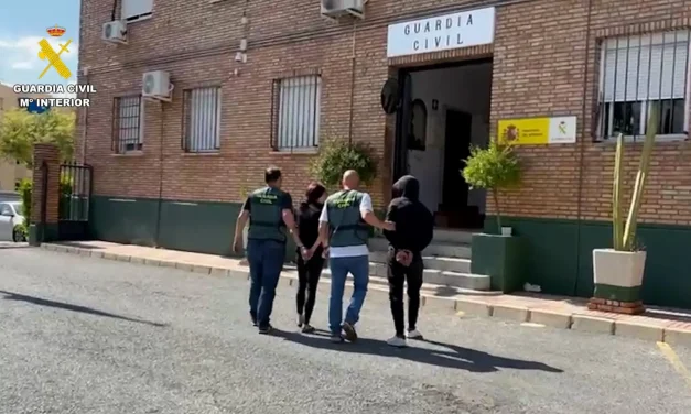 Desarticulan un grupo criminal que utilizaba la técnica del ‘mataleón’ para cometer robos en Illescas