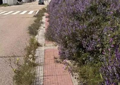 Illescas Acerado