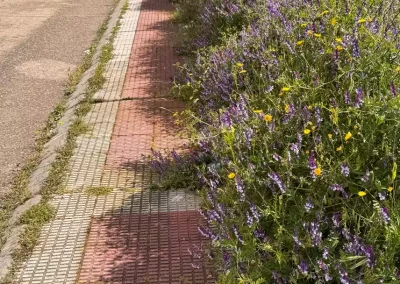 Illescas Acerado