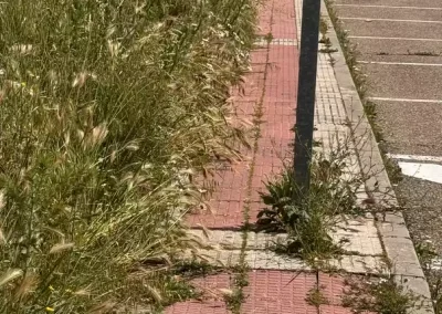Illescas Acerado