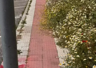 Illescas Acerado