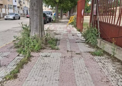 Illescas Acerado