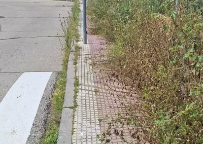 Illescas Acerado
