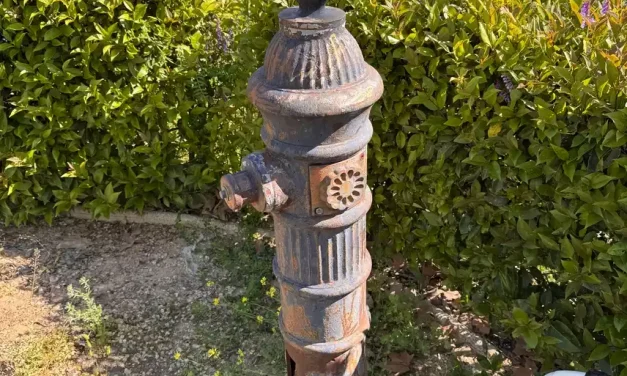Se licitan importes para renovación y mantenimiento de fuentes ornamentales en Illescas