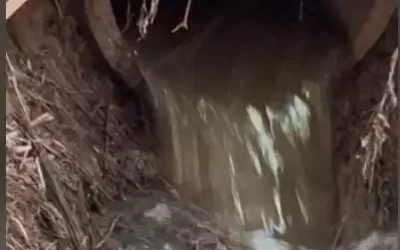Yeles denuncia vertidos residuales en el arroyo Bobadilla (hay video)