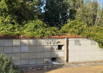 Cementerio antiguo de Illescas 01-10-2025