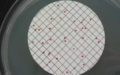 La calidad del agua en Illescas. Informes preocupantes