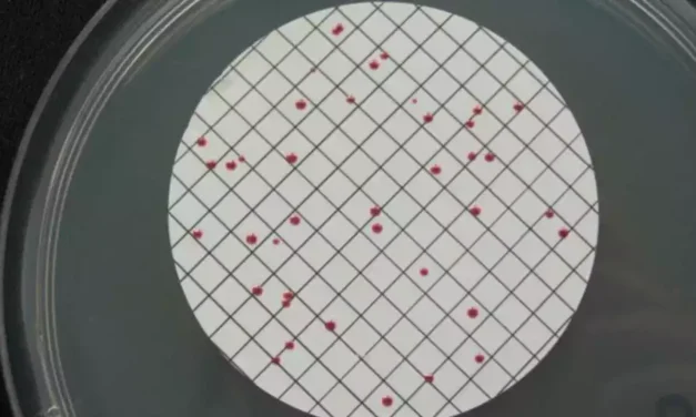 La calidad del agua en Illescas. Informes preocupantes