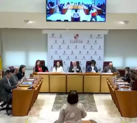 Intervención publico pleno Illescas 12/12/25