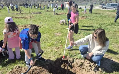 La asociación del Señorío (AESI) efectúa una plantación de arboles en el barrio