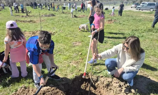 La asociación del Señorío (AESI) efectúa una plantación de arboles en el barrio