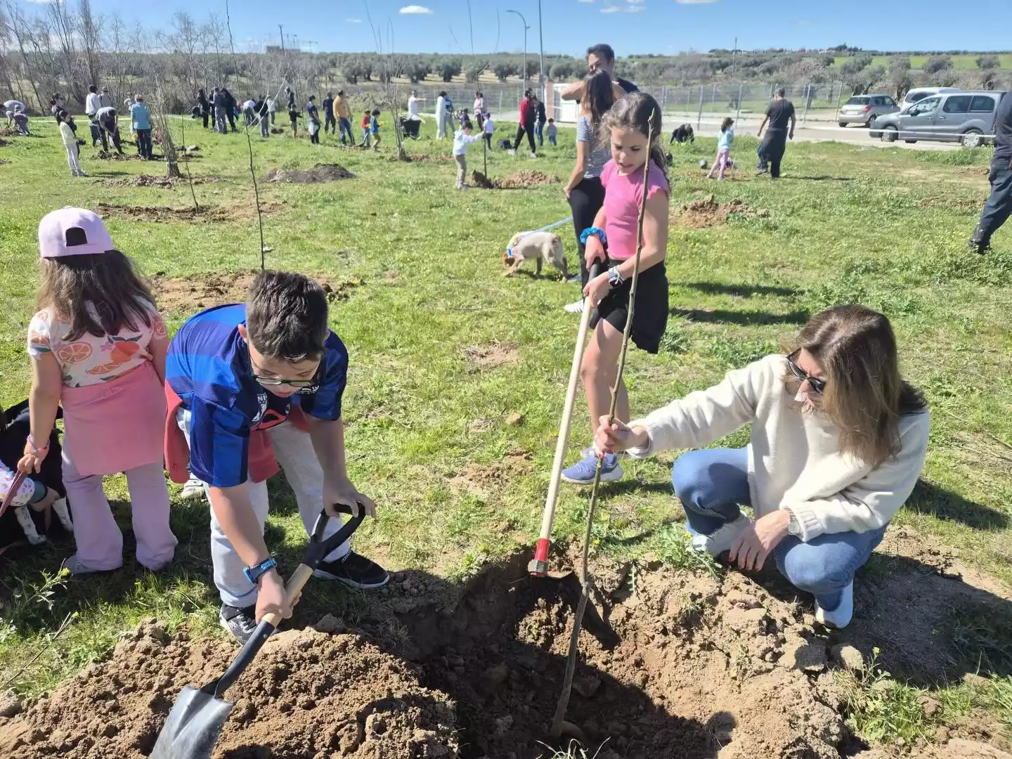 Plantación de árboles en el Señorío de Illescas