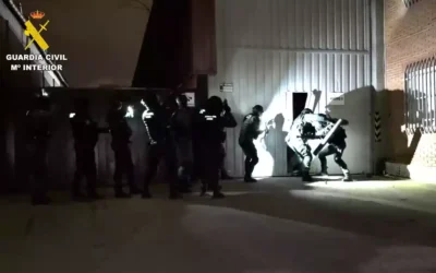 Más de 10.000 plantas de marihuana intervenidas en Segovia, Illescas y Madrid (Hay video)