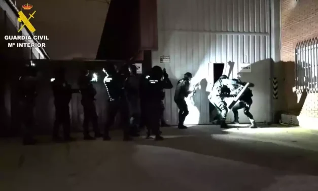 Más de 10.000 plantas de marihuana intervenidas en Segovia, Illescas y Madrid (Hay video)