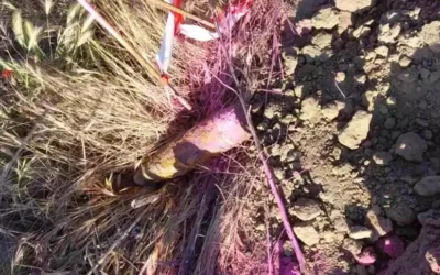 Otro hallazgo de un proyectil en unas obras de un polígono industrial de Illescas