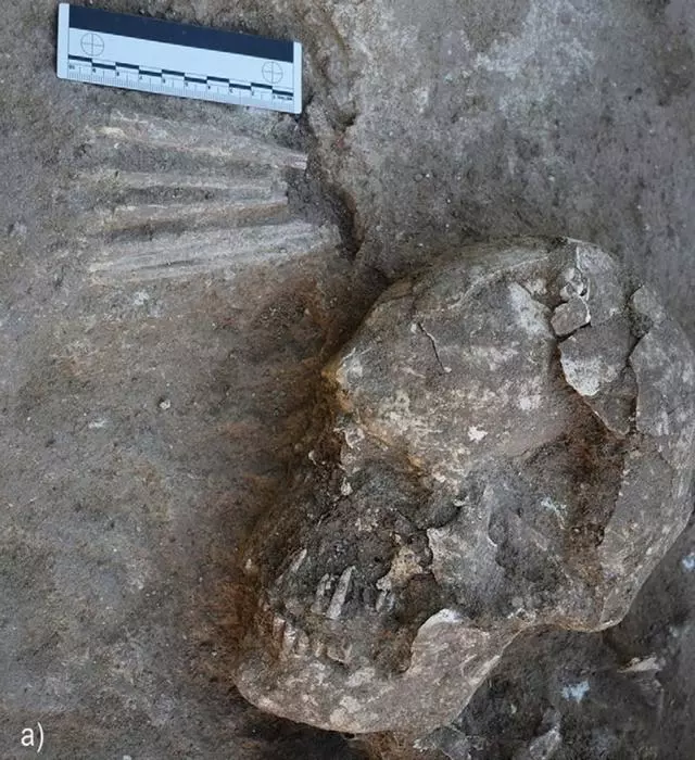 Excavaciones Valdelasilla